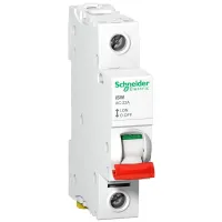 Schneider Electric Switch Disconnector, 1-Pole, 125 A