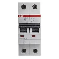 2CDS272001R0065  S202M-B6