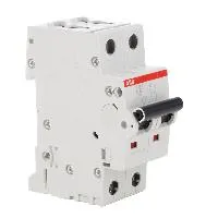 2CDS252001R0064  S202-C6