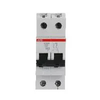 2CDS272001R0634  S202M-C63