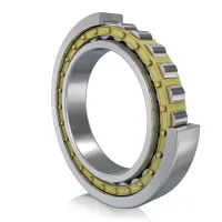 FAG NU409-XL-M1 45 mm ID Cylindrical Roller Bearing, 120 mm OD