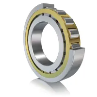 FAG NJ2220-E-XL-M1-C3 100 mm ID Cylindrical Roller Bearing, 180 mm OD