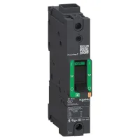 Schneider Electric, PowerPact, PowerPact Molded Case Circuit Breaker 1-Pole 60A, Breaking Capacity 65 kA, Clip-on
