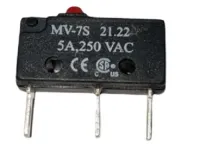DBS 61004