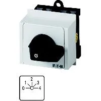 013980 T0-4-8262/IVS