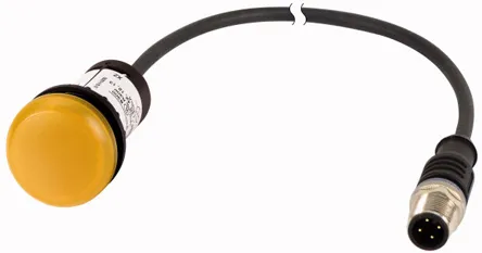 181061 C22-L-Y-24-P5