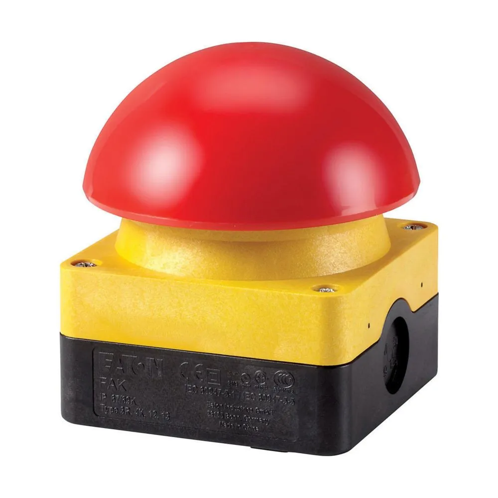 229747 FAK-R/V/KC01/IY