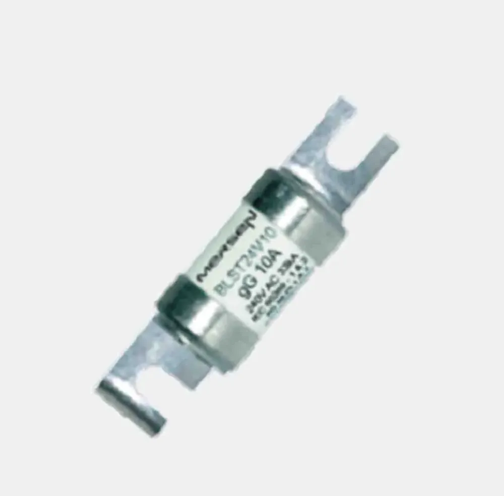 D1065685 / BLST24V02