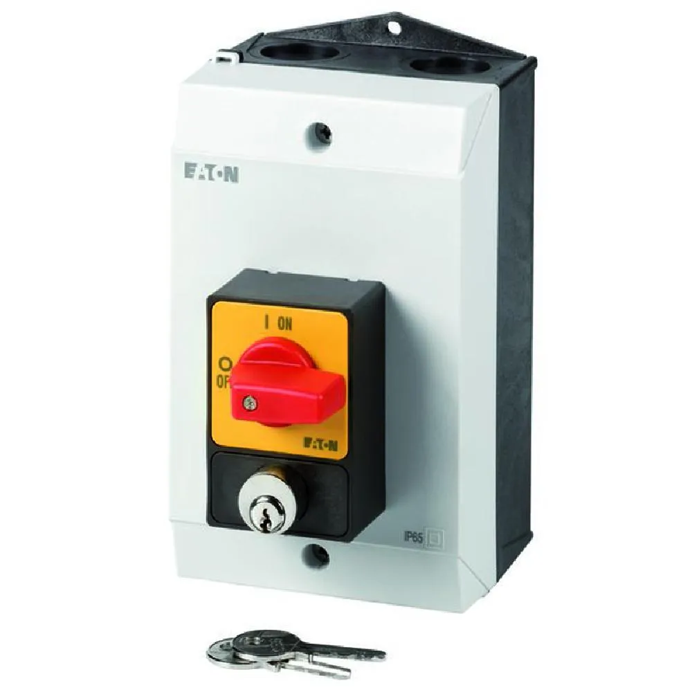 207306 P1-25/I2/SVA(S)-RT