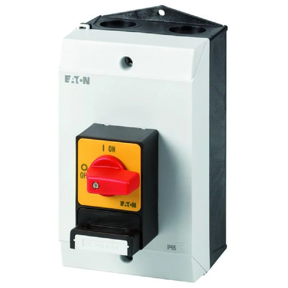 207307 P1-25/I2/SVC(S)-RT